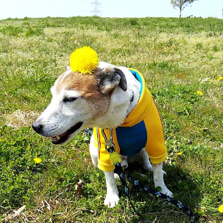 A4f02571 8909 4601 b4d8 a3dd2a10ffcc 1554530845732