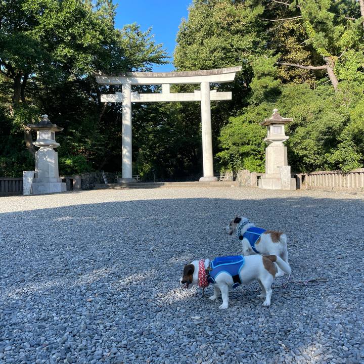 A4f0539d 4a8c 4a8a 8766 a283502c9f9d 1692485164770