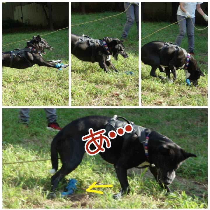 A4f07f5b 84e4 46e5 9848 580223c5e120 1664587203360