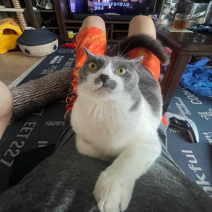 A4f08f2a a15c 42e2 93f4 0cef615e7e79 1721451290705