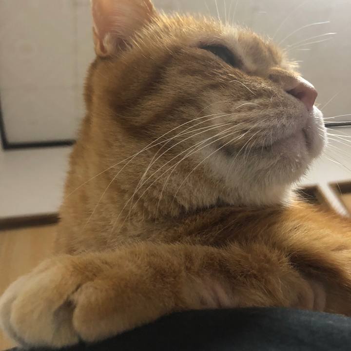 A4f0ab47 79dd 4cf1 8e37 a085312837a0 1703836143937