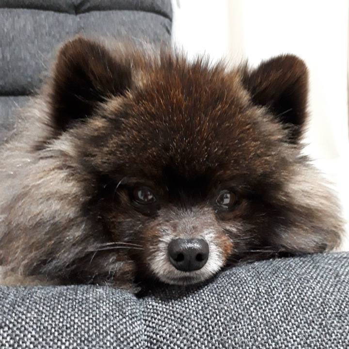 A4f0ef9a dddf 4287 b321 2cae9e4ce90d 1545913433472