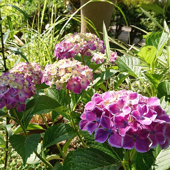 A4f0f362 5607 43af 8724 5a458466a02e 1654303609756