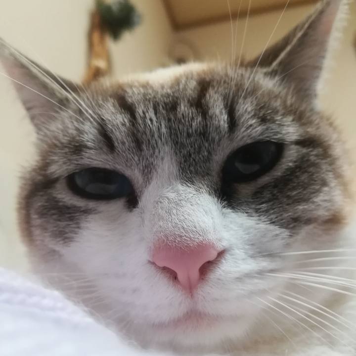 A4f115da 860a 4567 85d6 93ea875d441a 1521461036559