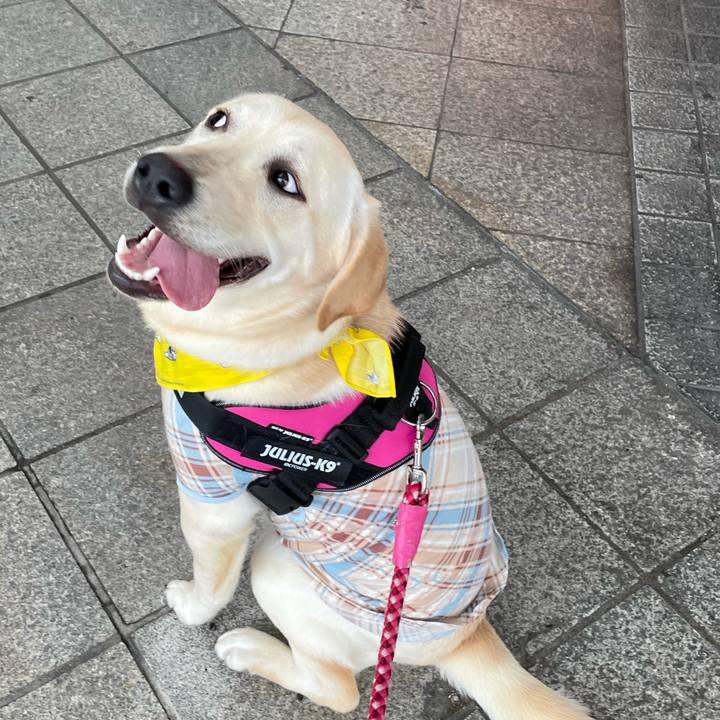 A4f12c13 946f 4db5 ab06 433ff8adddde 1625791779388