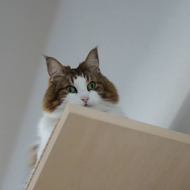 A4f12e26 76bf 4055 9d39 457f755a3be7 1767853049895