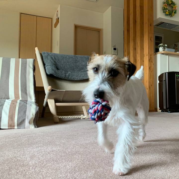 A4f184ef 8ee1 4b66 a908 51fd5bb713b7 1580689397827