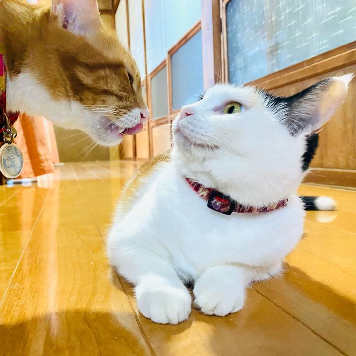 A4f192a4 479c 4433 9cc3 bbcd4c7bd8a3 1695905649828