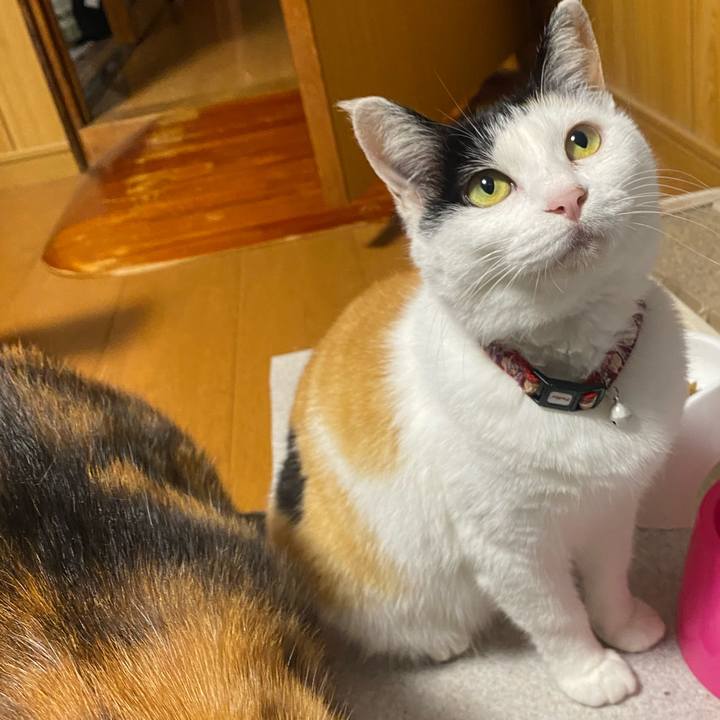 A4f1dfb8 c297 43a6 8957 cf2c142245ed 1652442565222