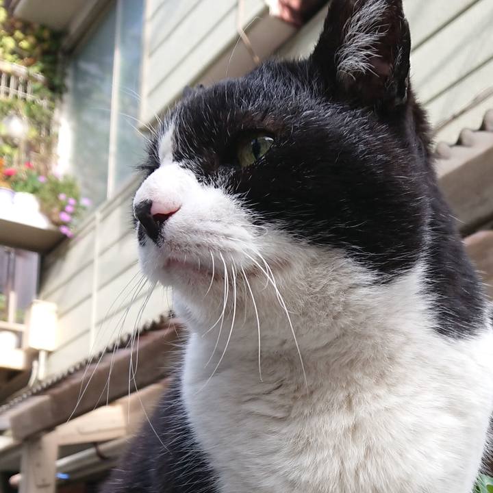 A4f2174a 80d5 4bd7 ae7c a72b4e5dd054 1678752044387