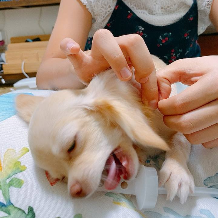 A4f23ab4 ed3f 475c a5da 278604dc6698 1595754315409