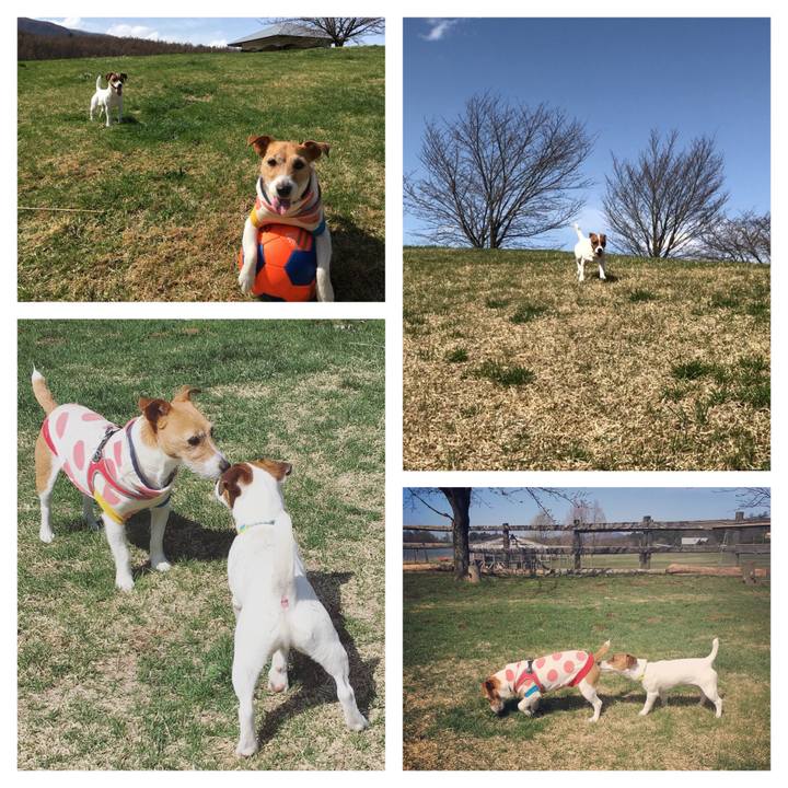 A4f240a5 5fa6 4242 adee 6e255c8820c8 1523525350141