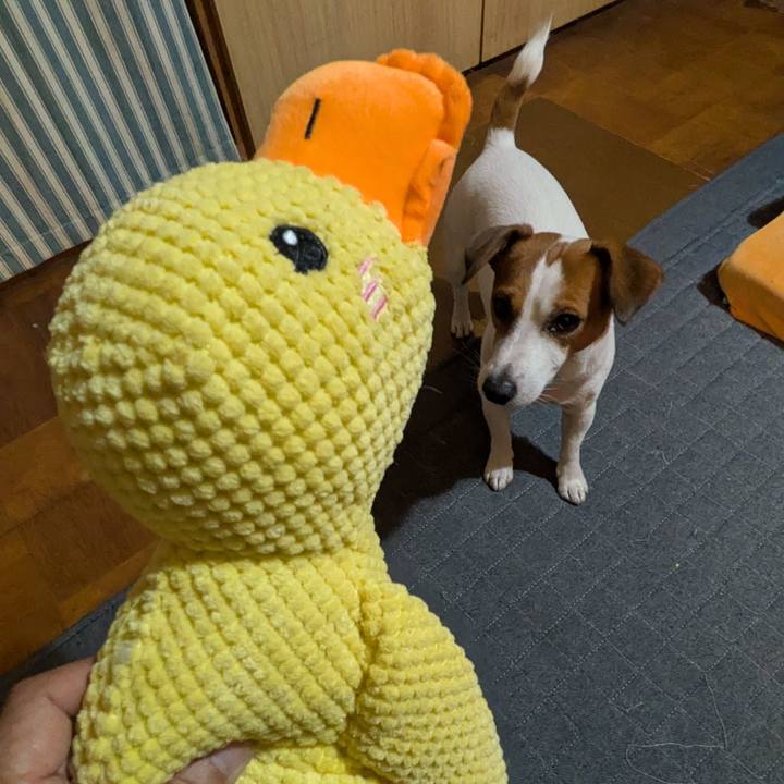 A4f254f6 e7a3 4972 b409 6b0f05c0e0fe 1735190615584