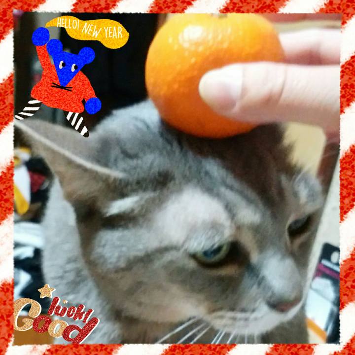 A4f259d7 e54d 4875 9dea 4e5fae229ecf 1578401928951