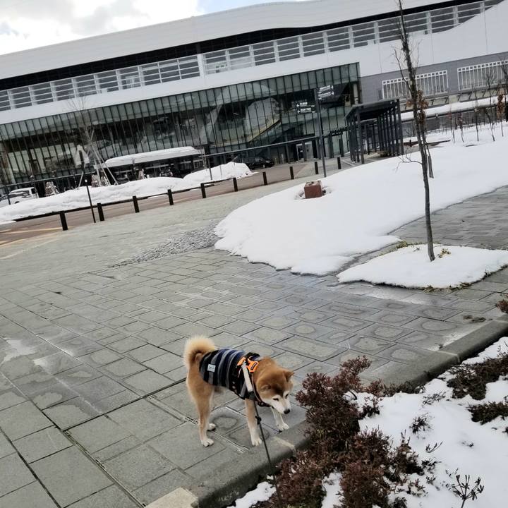 A4f29f85 9c25 4e7d b750 187002be29db 1614145994731