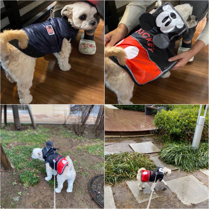 A4f2a4b3 72bf 45bd a6b8 209ad146db0d 1580188639623