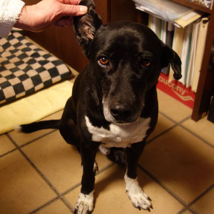 A4f2bb5d 79ea 4e10 97c5 3c5b6aff7f45 1678062386370