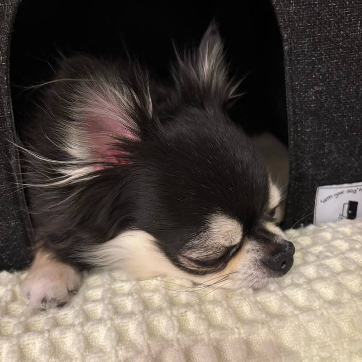 A4f2c889 a2fe 4f64 9dee f43b30845100 1742661699802