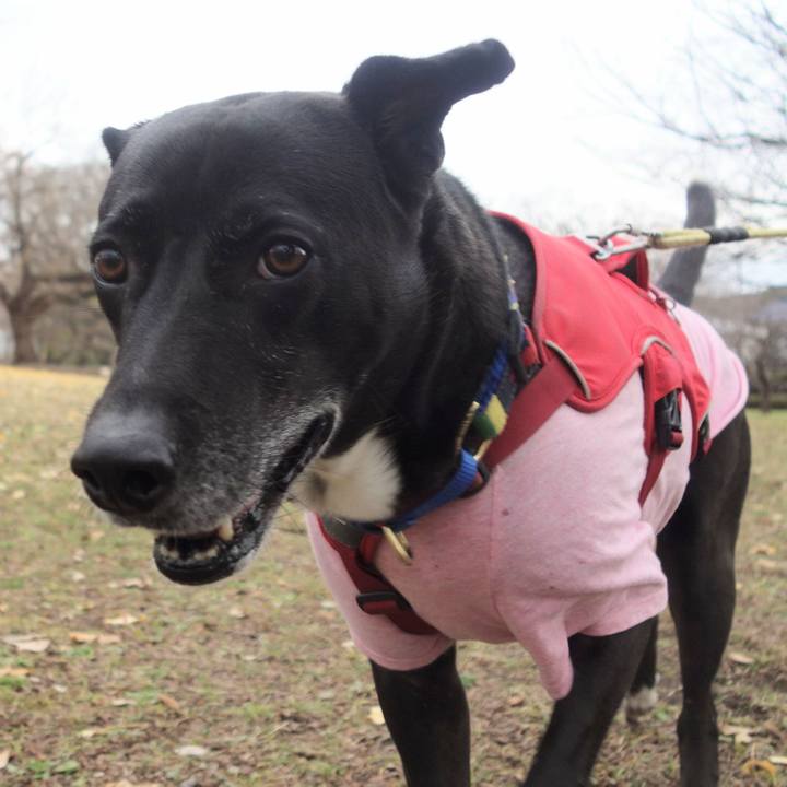 A4f2c9fe 63e4 44ea 99cc 74cb12b10bda 1671242129809