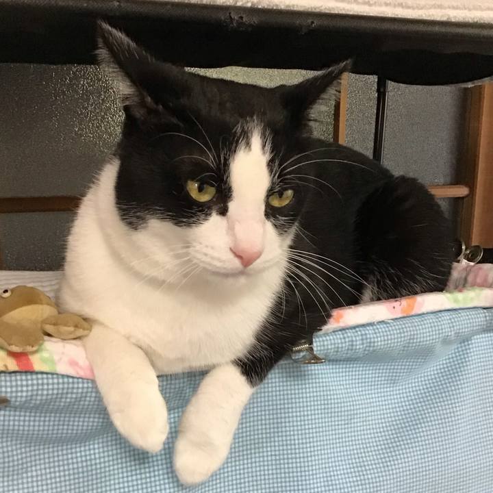 A4f2d851 a96d 4b9f a0a5 ef1c03a97a1b 1725607438409