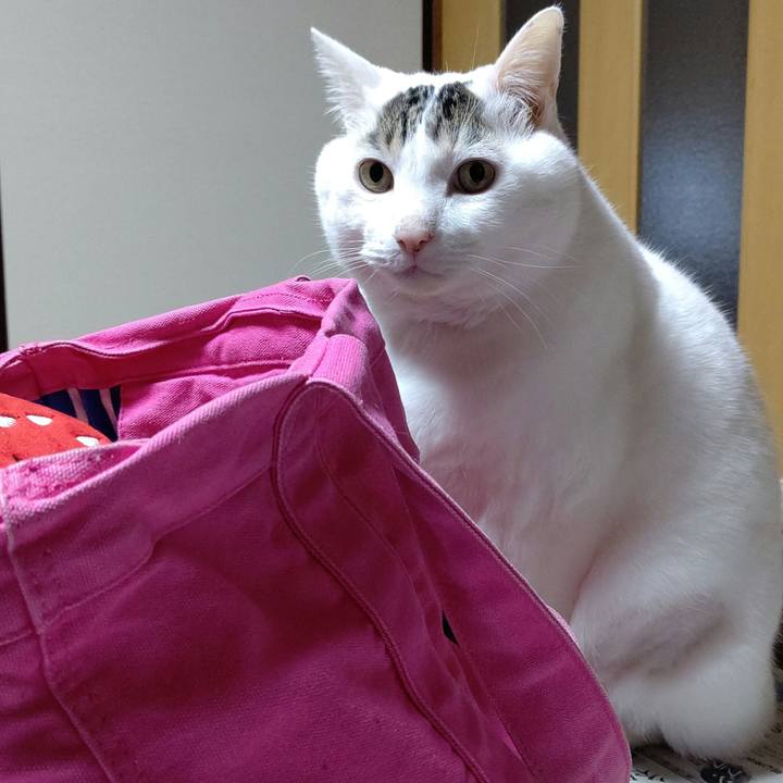 A4f2eb35 4285 4fa1 aede f7cf8ce4d29e 1641279196564