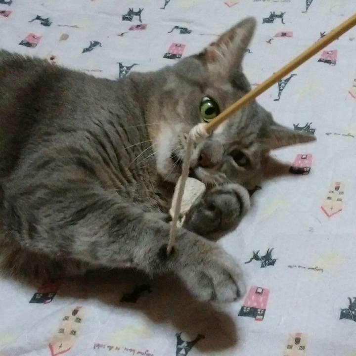 A4f2fa56 b0d5 44cf 89b0 cc501a8fa1ba 1571838551029