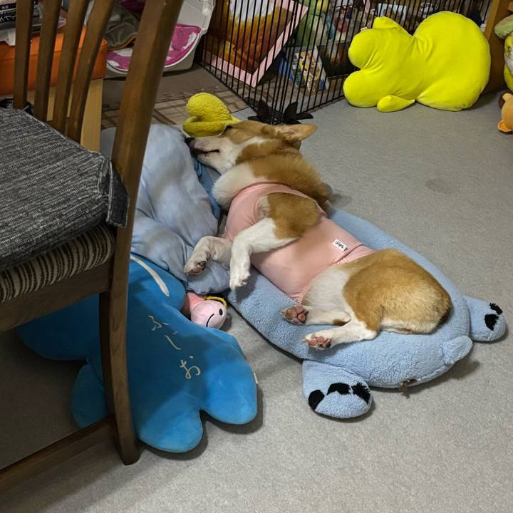 A4f31a9d e29d 43b8 bb3d bc528f883dfd 1756916564726