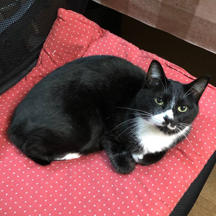 A4f31fb3 117f 48bd 86c0 dc9102ad9bb8 1573972411983