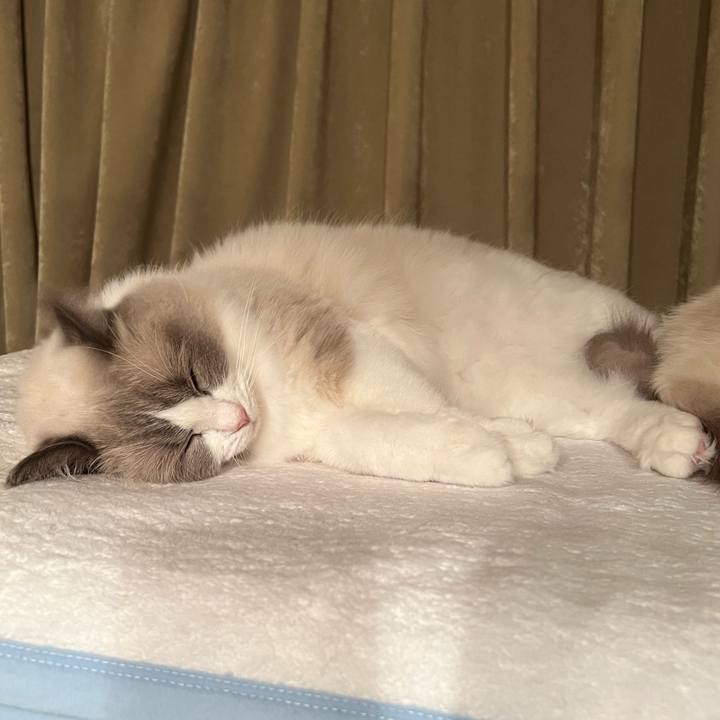 A4f331ff 03fe 4e74 a7e2 7118a3c4e2ed 1662987291211