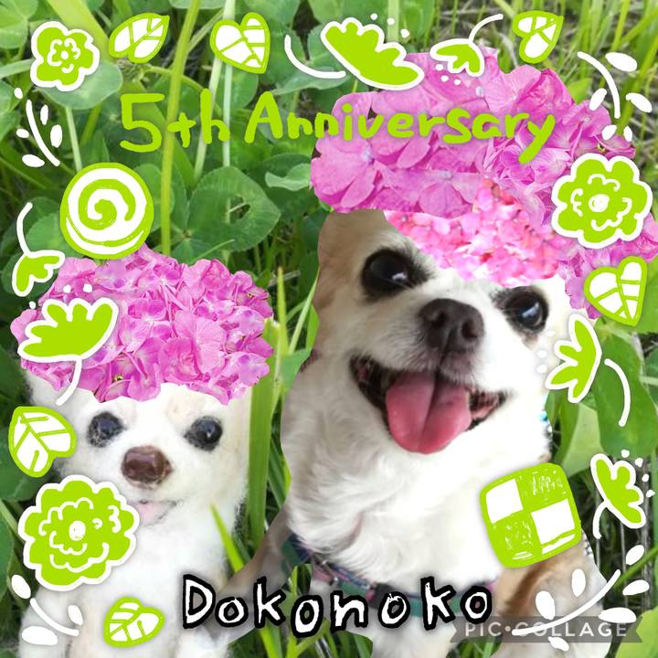 A4f373b8 2de9 4af2 8e9c 10a232e6688f 1623036792494