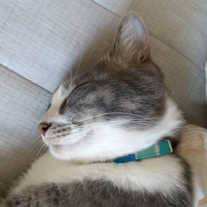 A4f39f2e 4ad1 49c8 b970 7f3121bdcd0b 1620432170982