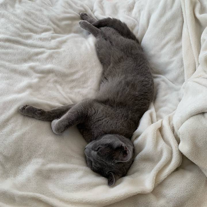 A4f3dcf9 9c5e 4ad7 a858 47ff834d1dfd 1650972357334