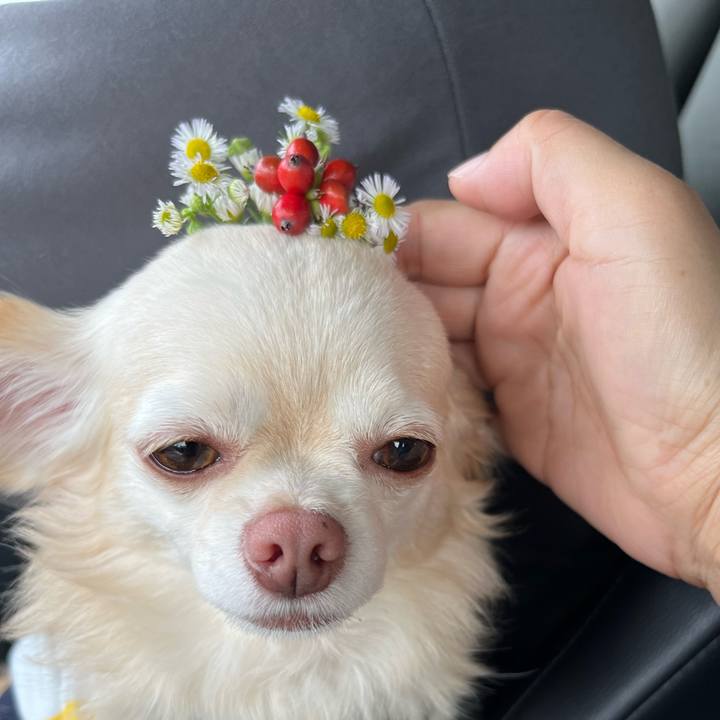 A4f3e26d ec8b 4420 a443 c9945f9e69fd 1727498374469