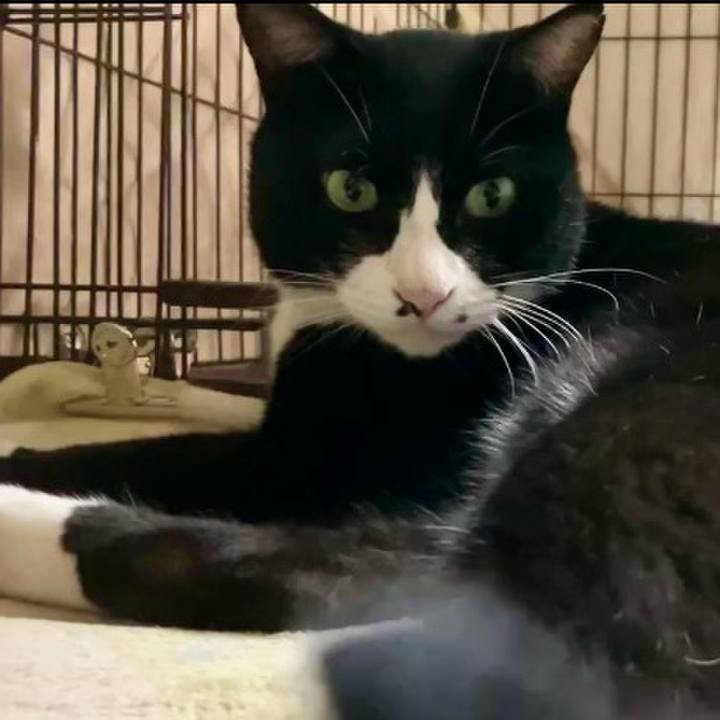 A4f3e8e1 51f0 469a b945 f2581b540bab 1729676508934