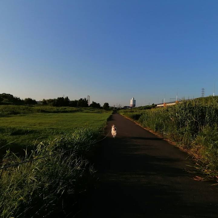 A4f3f61f dd01 4b5a a099 c17fa07dc7b8 1599566238735