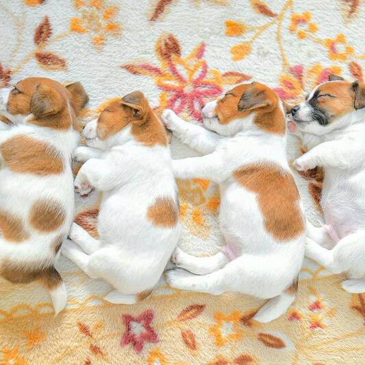 A4f41c18 d672 423d ab65 68adf7696a46 1578564929472