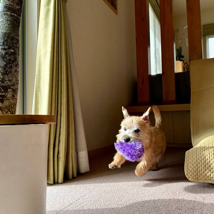 A4f429f8 c896 4382 9042 a53536568f81 1704965637455