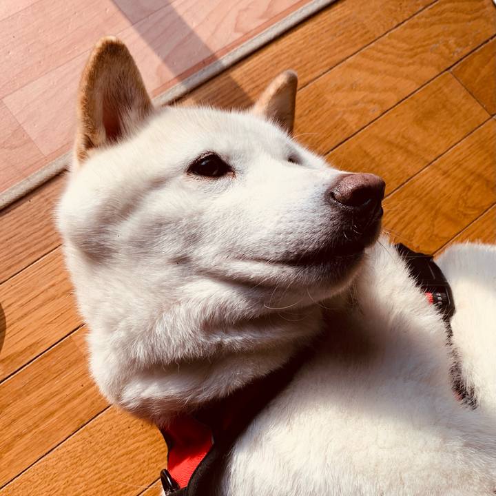 A4f47e90 8b98 4f1e b669 56e746084b21 1610951678117