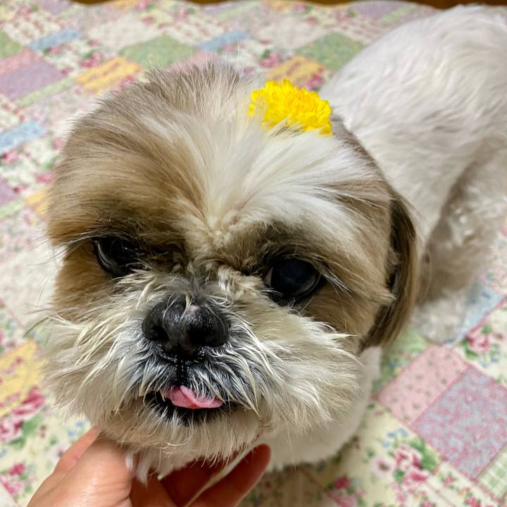 A4f52112 fd35 420f ab88 e7f5d3ad819b 1617879661966