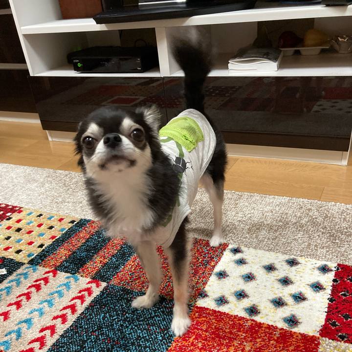 A4f577cc 1f84 4111 baaf 325d69593c6d 1684597111973