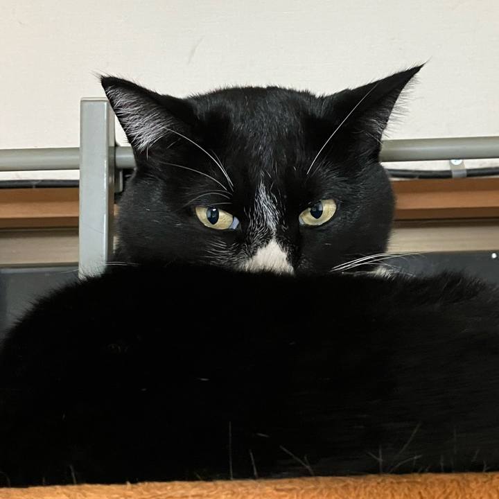 A4f58a22 0f6e 4548 8368 176509f2c632 1736485113570