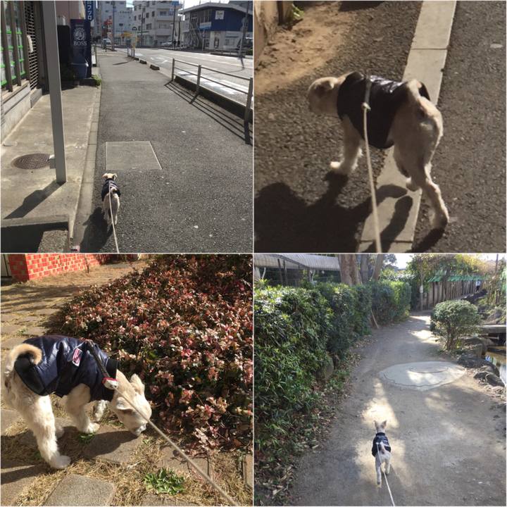 A4f5b9a6 44e1 4733 a01f 97c287116e56 1546238241825