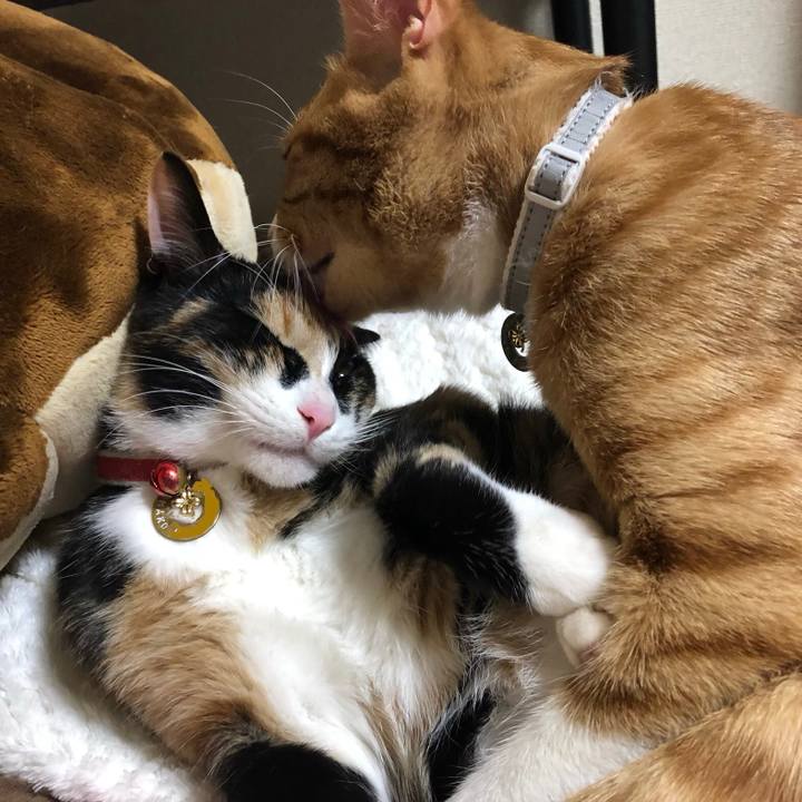 A4f610d2 7632 4e34 b03c 218a5beb89c8 1552641537623