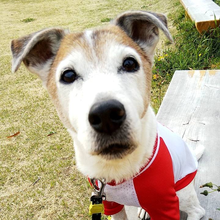 A4f623d1 7b82 4029 986f 6ac58aa0e408 1586940327888