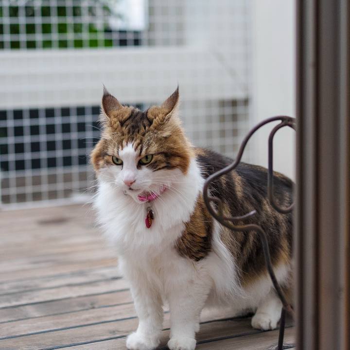 A4f63770 255a 46b6 85bd bc4f631d4bed 1741678612508