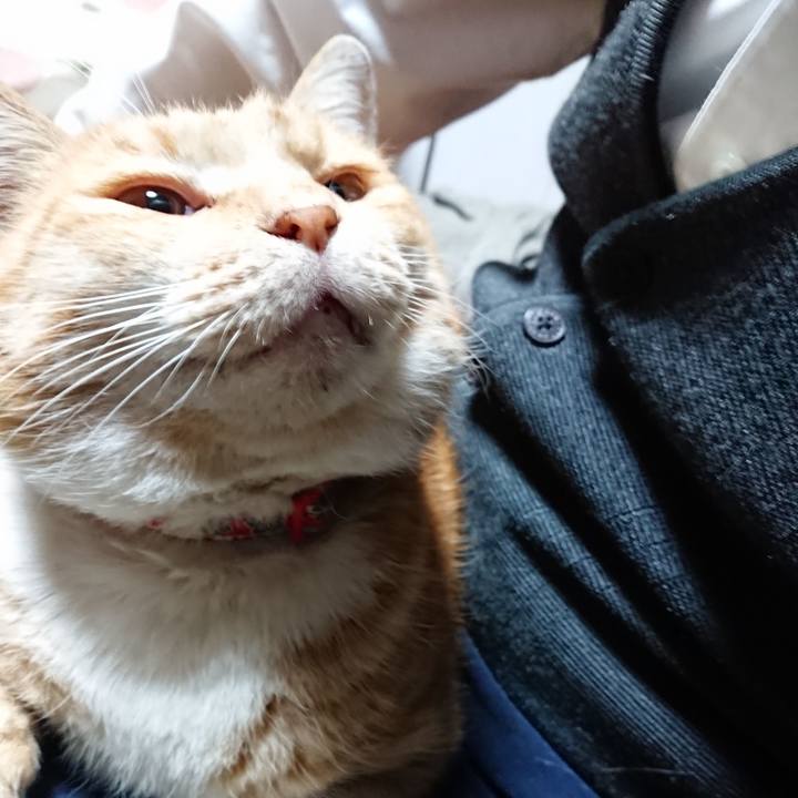 A4f6441d 91ea 45ae 80fa 32a3988b0fab 1578300723081