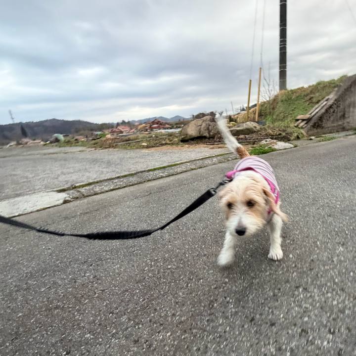 A4f64def 880a 46eb 9c15 ea2a3f414717 1772747936022