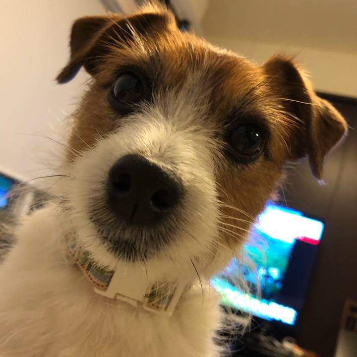 A4f65a08 13ce 4646 a119 e82fd724bc59 1586164986991