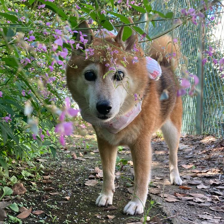 A4f67c41 8f27 48ec 90e5 f6a540d165aa 1695086680483