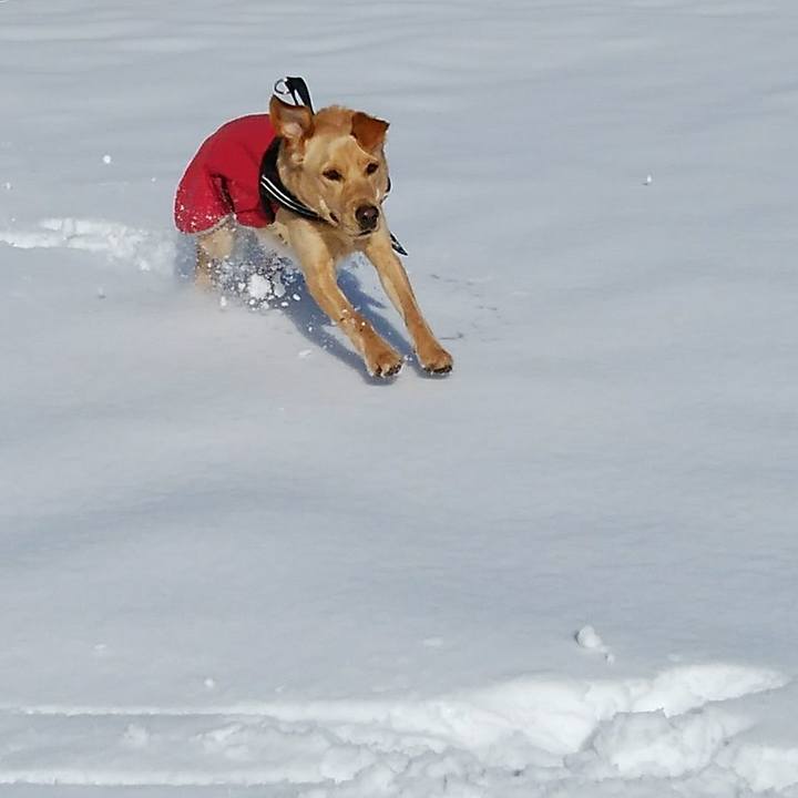 A4f69e68 876c 4b8b 834d 157653337cf6 1516670904700